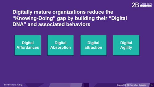 Differences in B2B Digital Technology Adoption Between China and the United States: An Analysis Based on Seminar PPT 'Digital Technology Services'