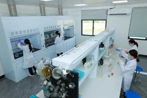 喜訊！三亞環農集團檢測公司順利通過國家級能力驗證，檢驗檢測服務邁上新臺階